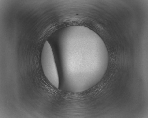 X0000054370774200507290830