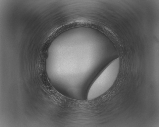 X0000054370776200507290830