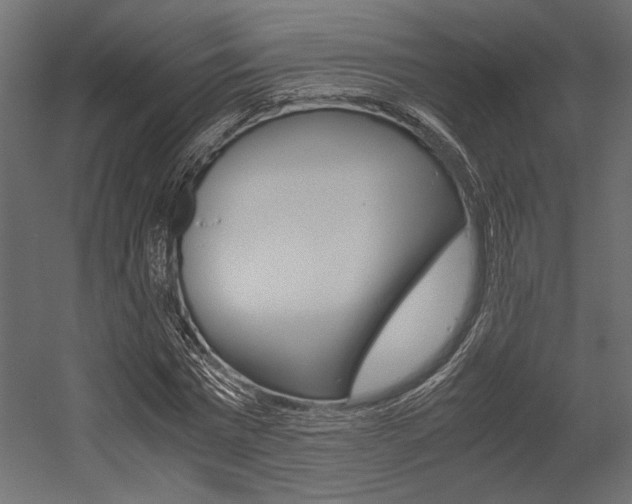 X0000054370777200507290830