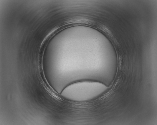 X0000054370780200507290830
