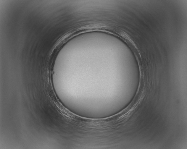 X0000054370781200507290830