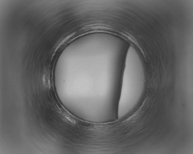 X0000054370782200507290830