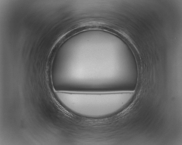 X0000054370783200507290830