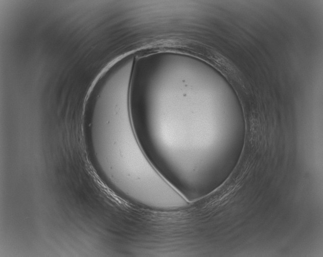 X0000054370784200507290830