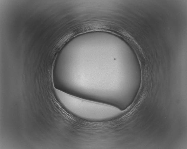 X0000054370785200507290830