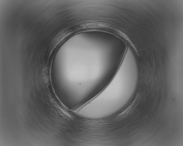 X0000054370786200507290830