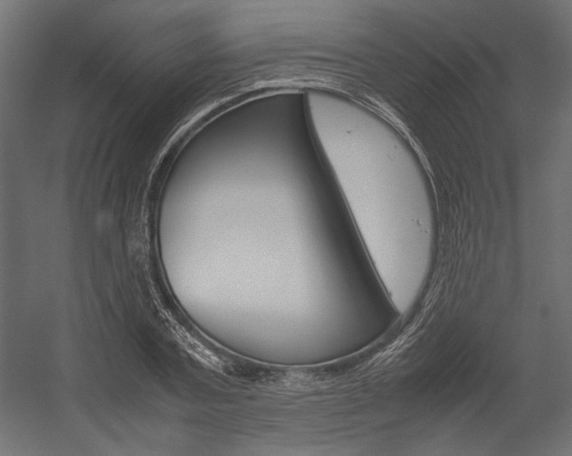 X0000054370787200507290830