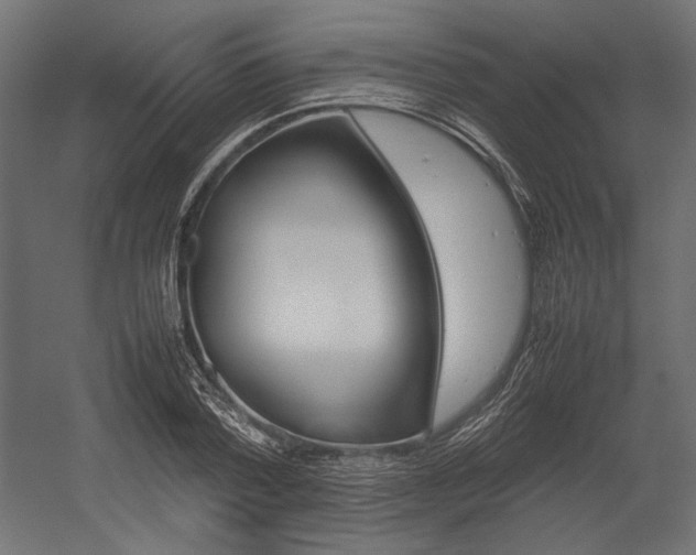 X0000054370788200507290830