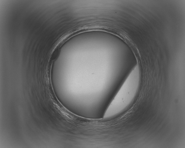 X0000054370789200507290830