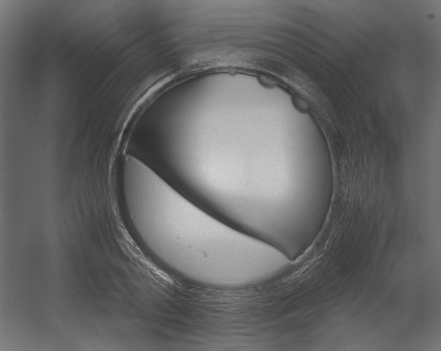 X0000054370790200507290829