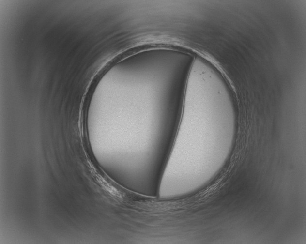 X0000054370791200507290829