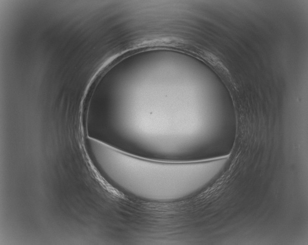 X0000054370792200507290829