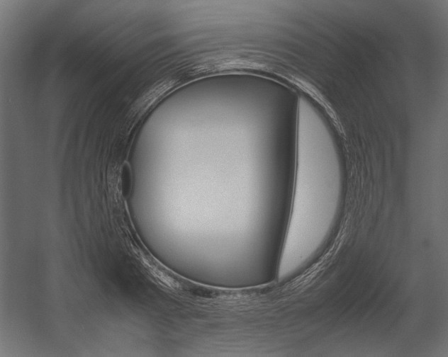 X0000054370793200507290829