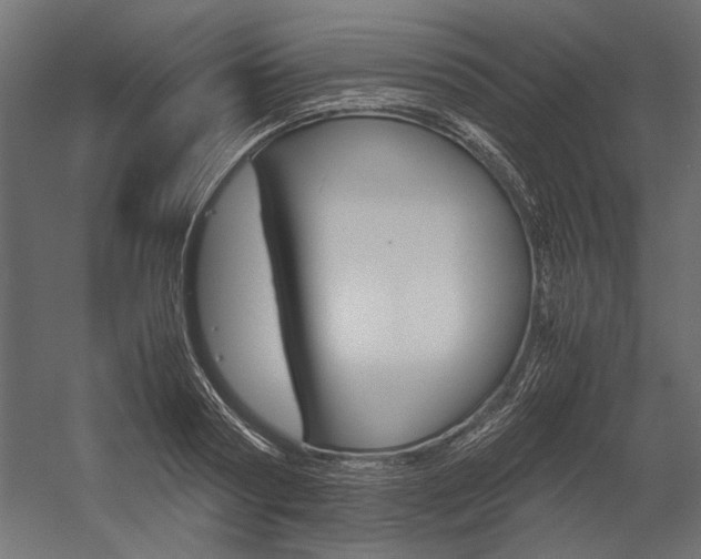 X0000054370794200507290829