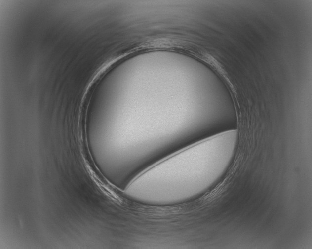 X0000054370795200507290829