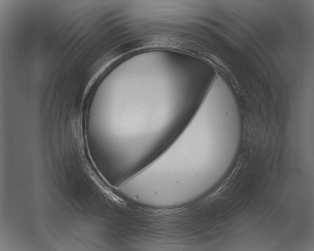 X0000054370796200507290829