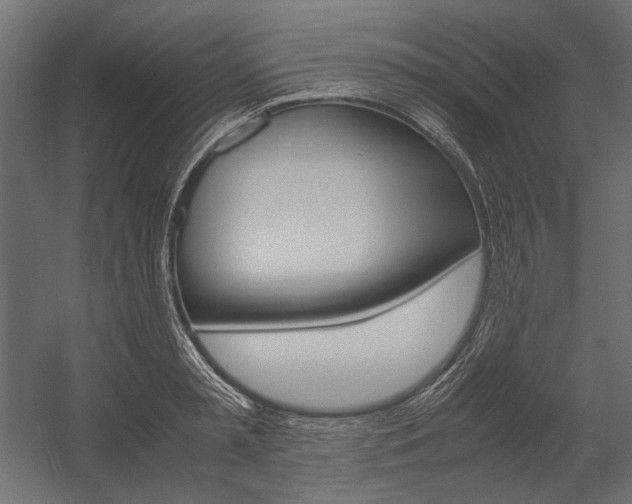 X0000054370797200507290829