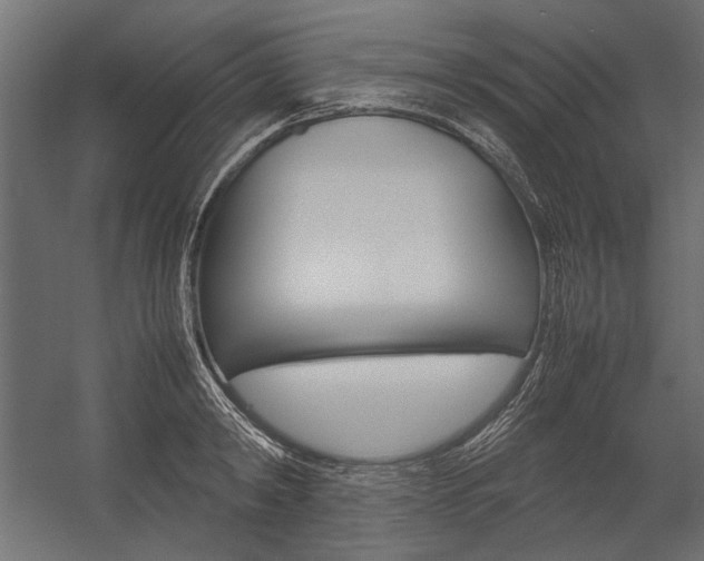 X0000054370798200507290829