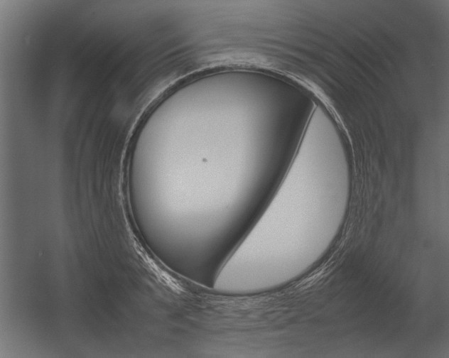 X0000054370799200507290829