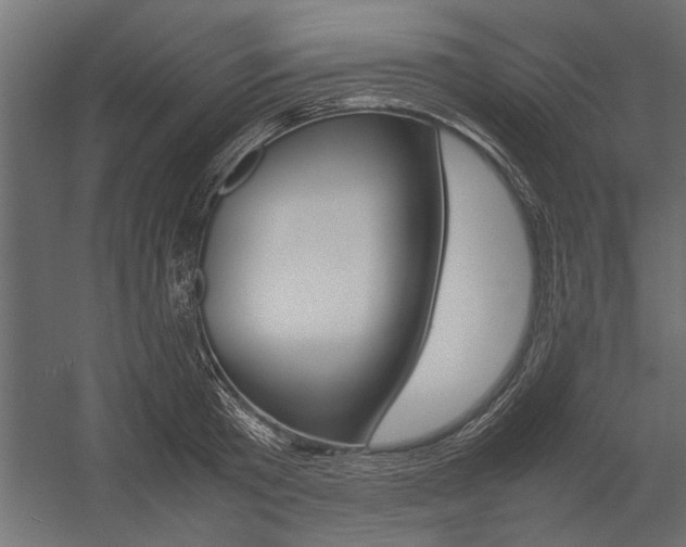X0000054370801200507290829