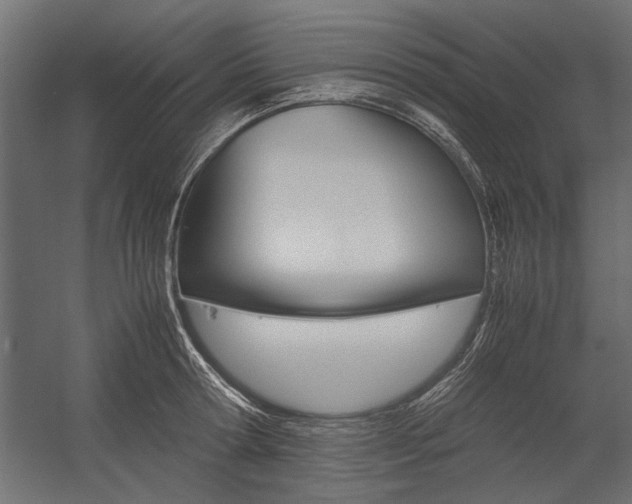 X0000054370802200507290829