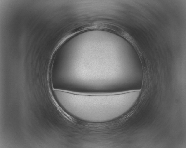 X0000054370803200507290829