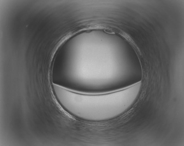X0000054370805200507290829