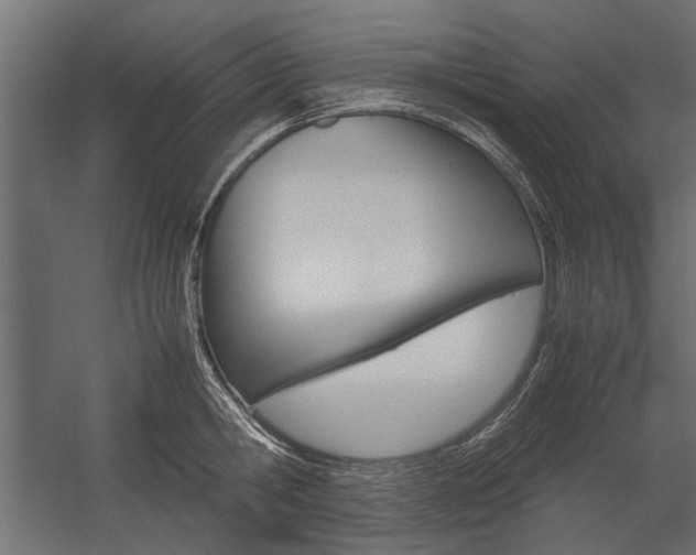 X0000054370806200507290829