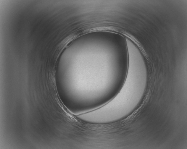 X0000054370809200507290829