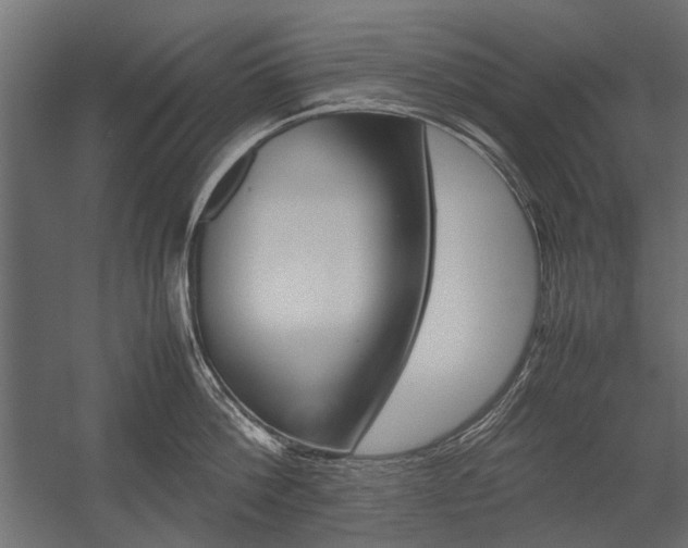 X0000054370812200507290829