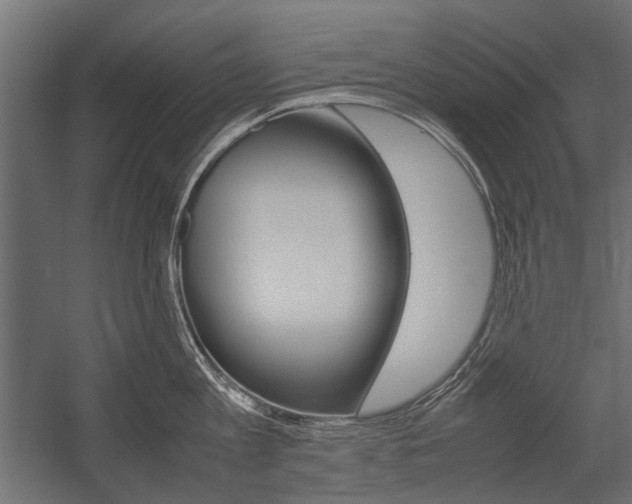 X0000054370813200507290829