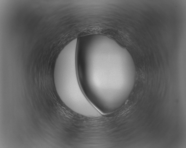 X0000054370818200507290828