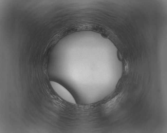 X0000054370819200507290828