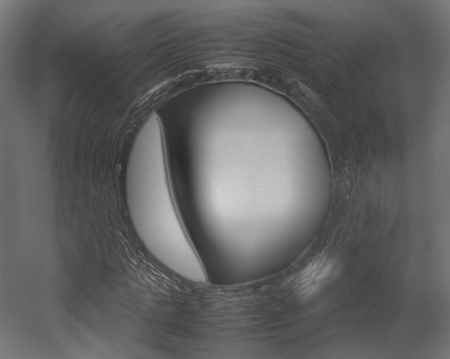 X0000054370821200507290828