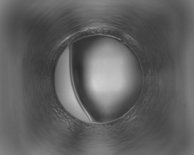 X0000054370822200507290828