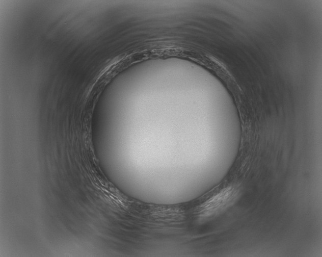 X0000054370823200507290828