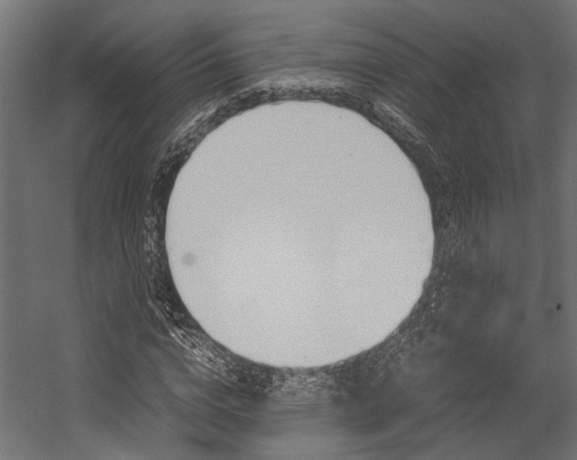 X0000054370824200507290828
