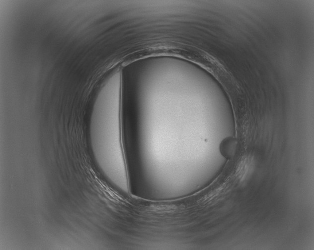 X0000054370825200507290828