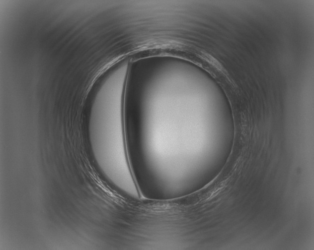X0000054370826200507290828