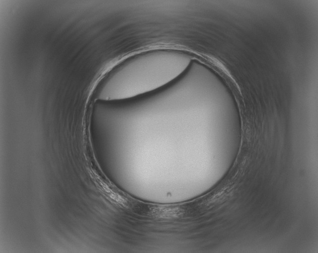 X0000054370831200507290828