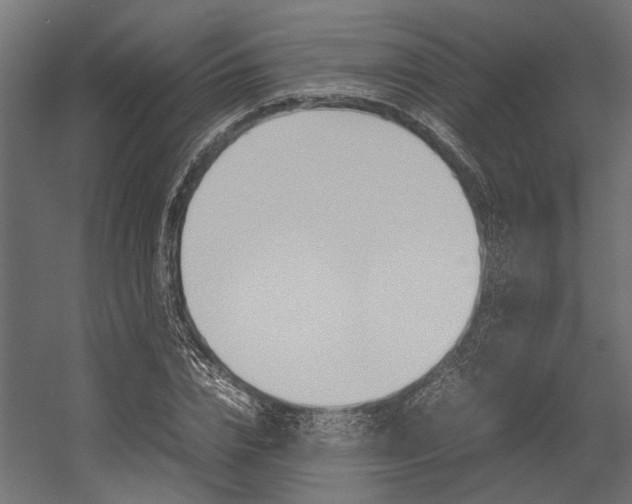 X0000054370832200507290828