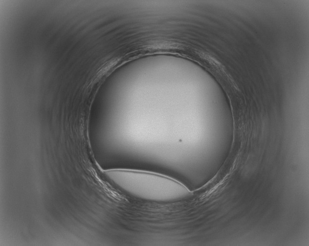 X0000054370833200507290829