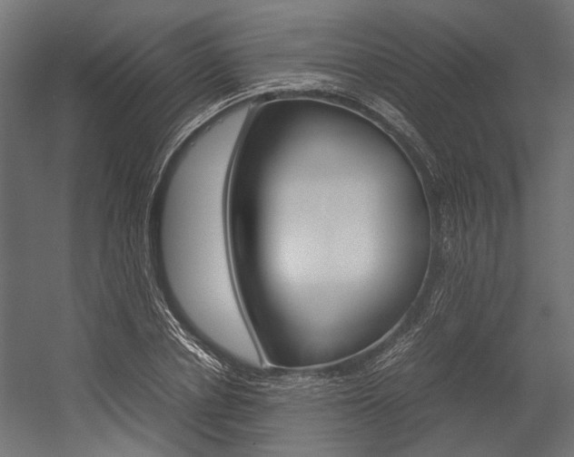 X0000054370834200507290829