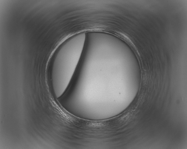 X0000054370835200507290829