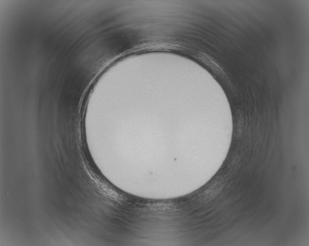 X0000054370836200507290829