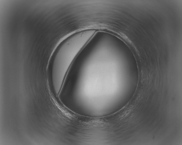 X0000054370838200507290829