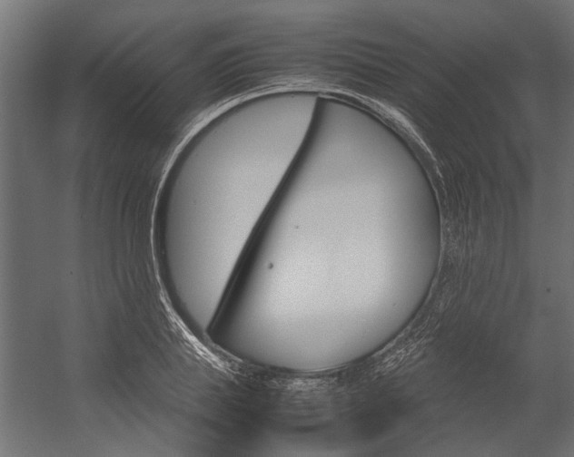 X0000054370839200507290829