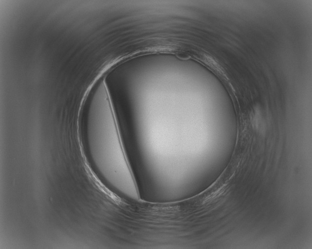 X0000054370843200507290829