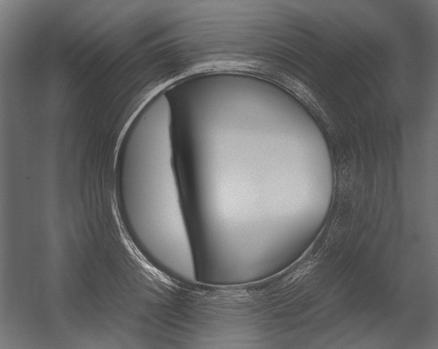 X0000054370844200507290829