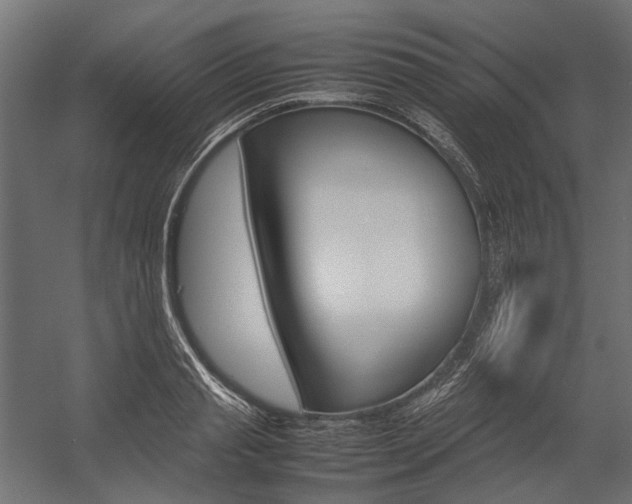 X0000054370845200507290829
